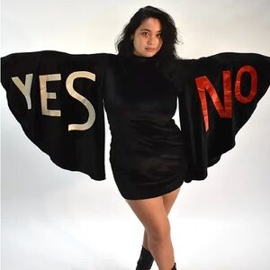 FASHION BRAND COMPANY • Nonverbal Velvet Dress • NEVER WORN